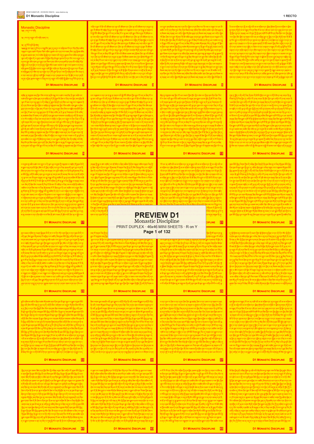 Preview DEGE-KANG-D00001 — page 1
