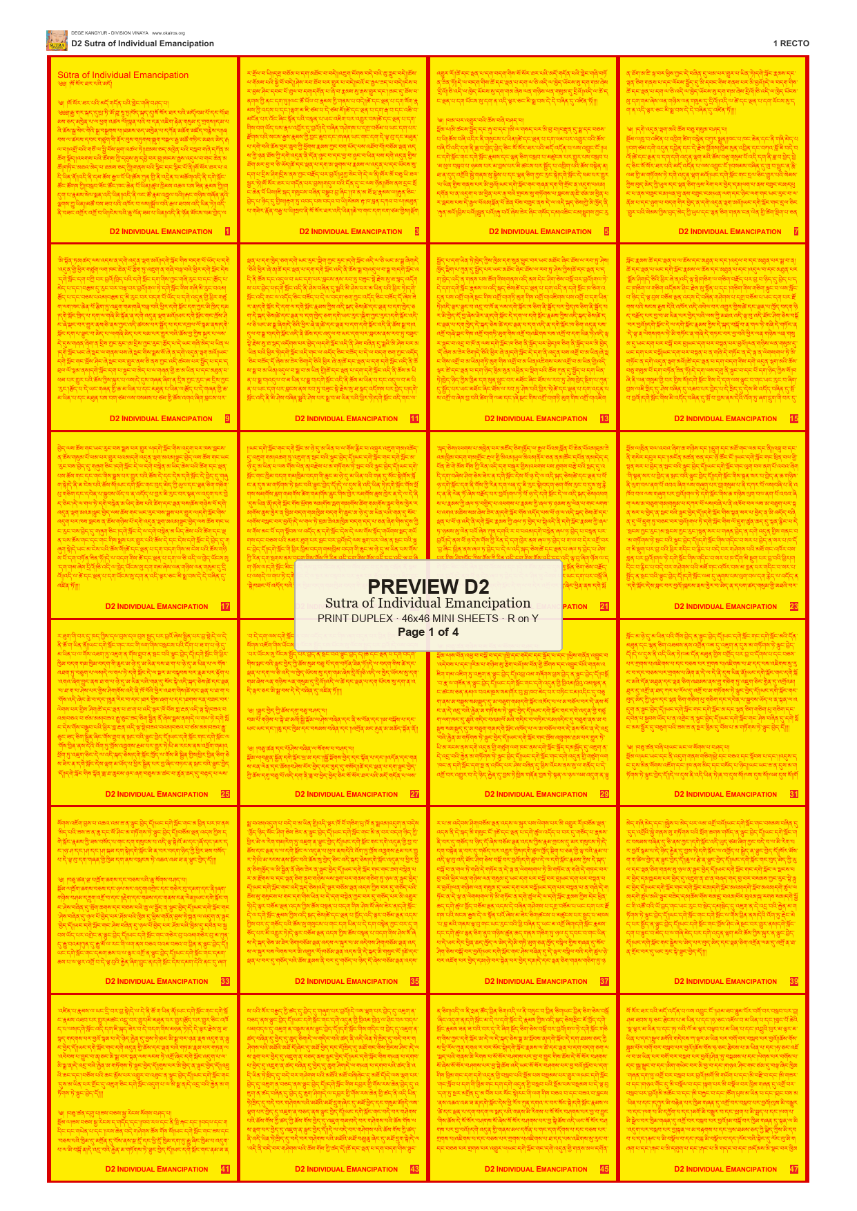 Preview DEGE-KANG-D00002 — page 1