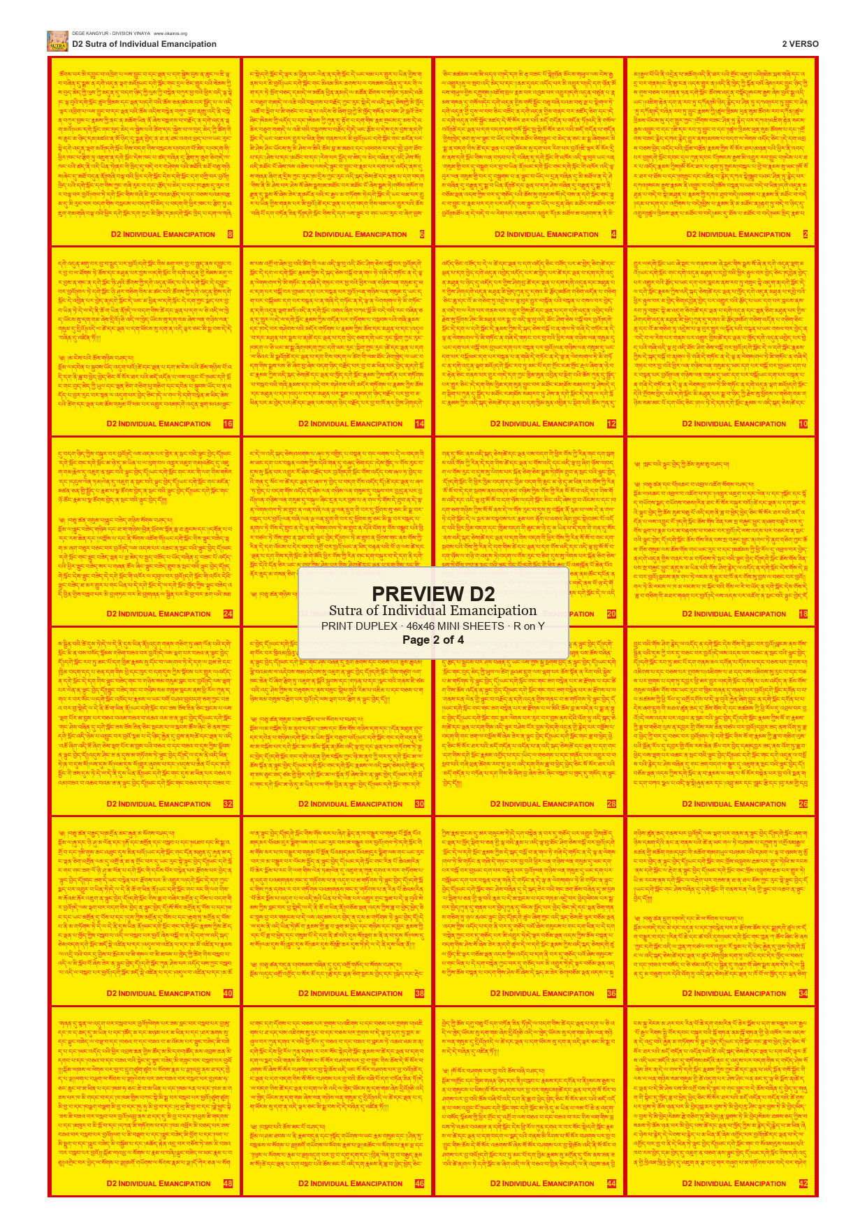 Preview DEGE-KANG-D00002 — page 2
