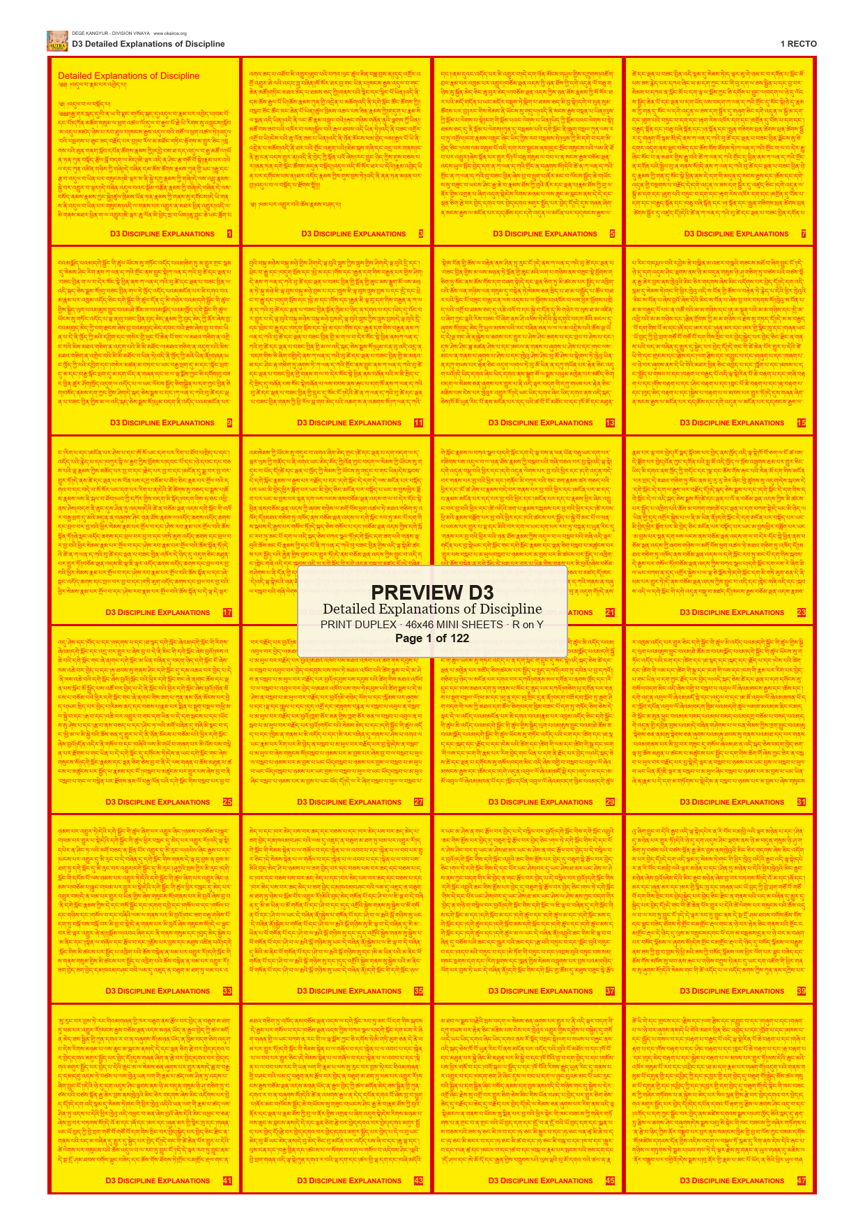 Preview DEGE-KANG-D00003 — page 1