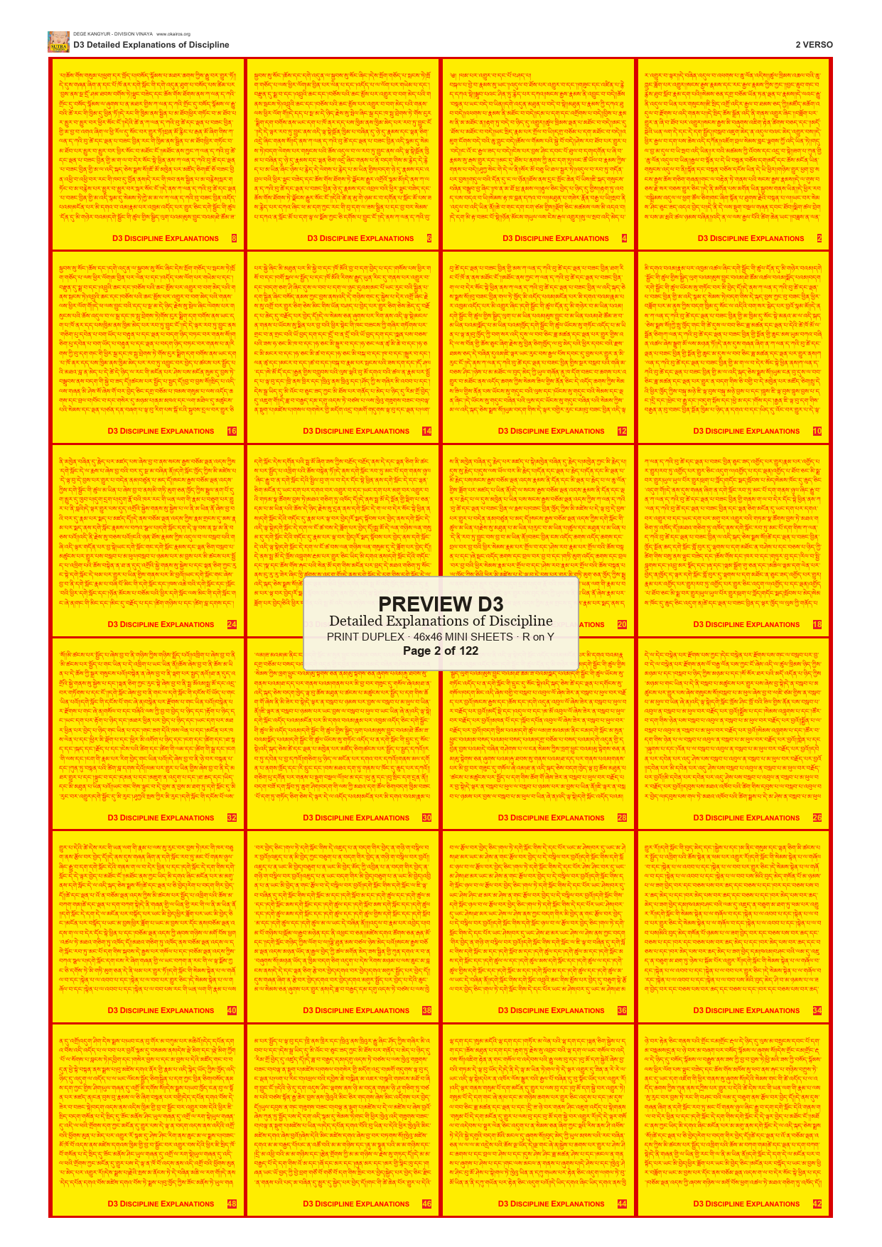 Preview DEGE-KANG-D00003 — page 2