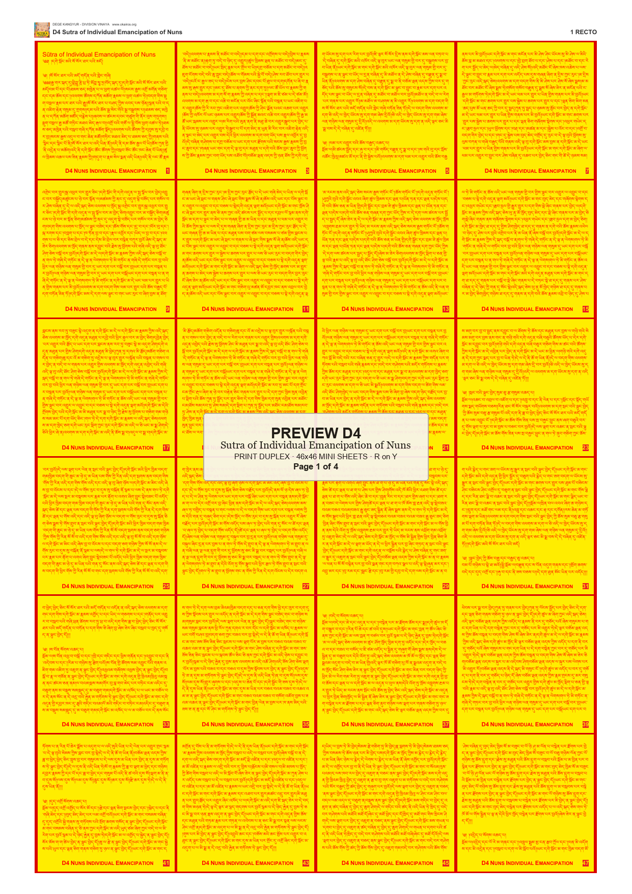 Preview DEGE-KANG-D00004 — page 1