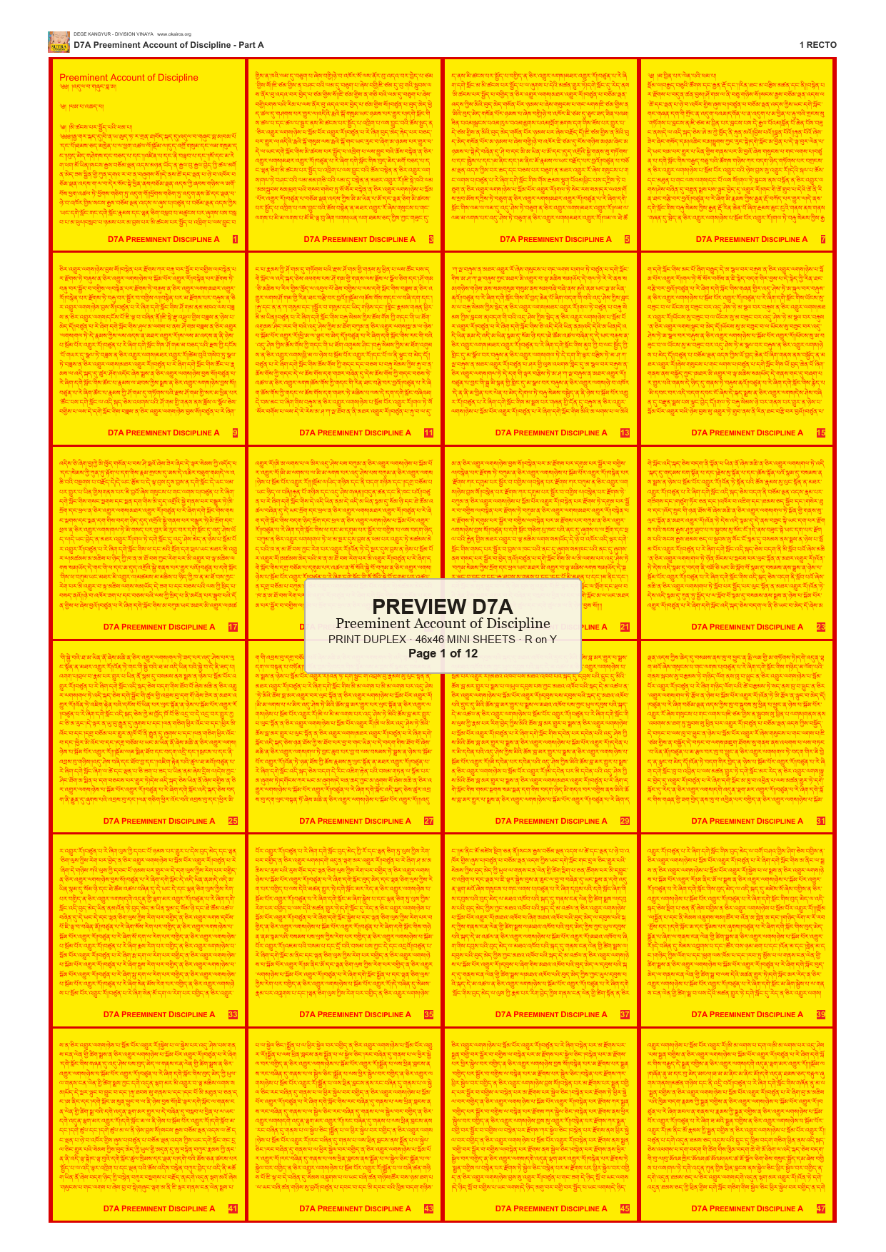 Preview DEGE-KANG-D00007A — page 1