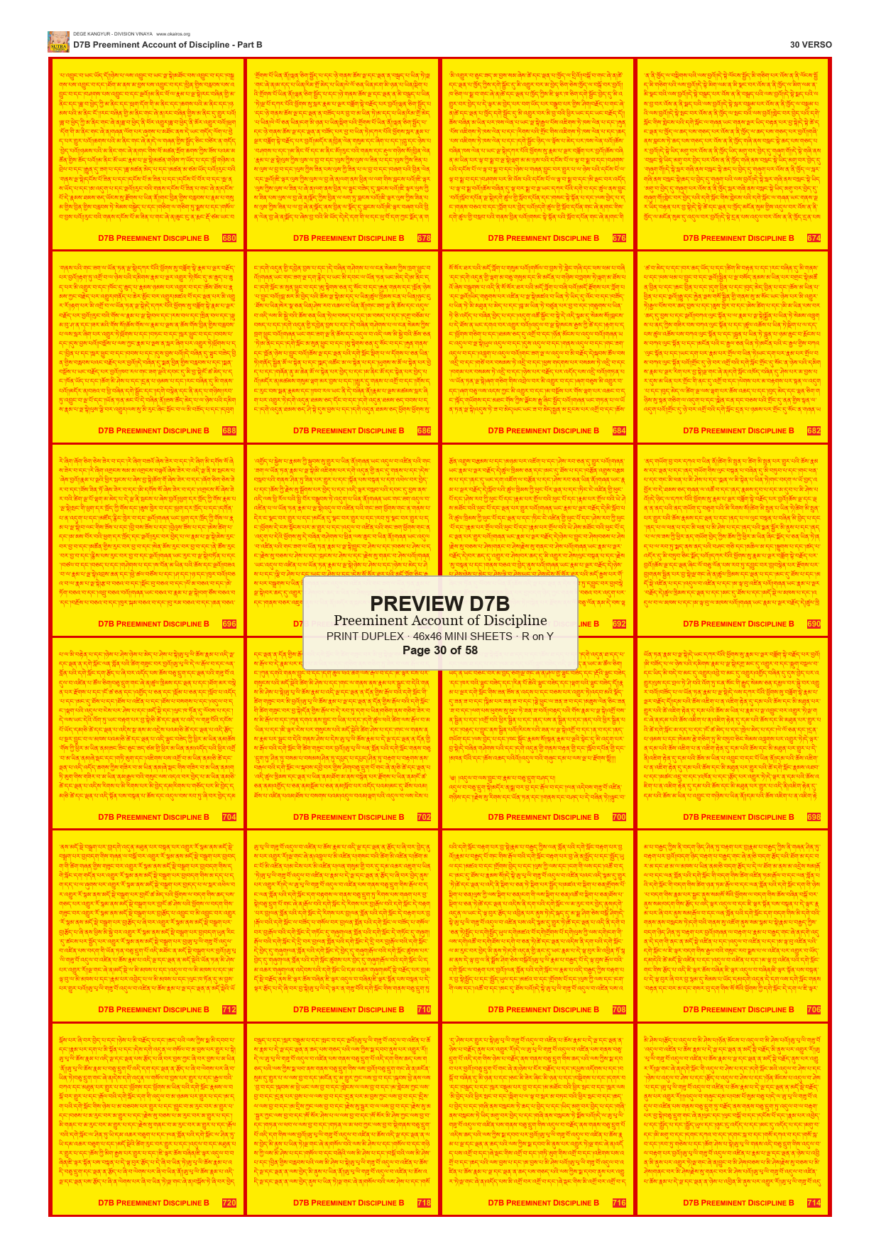 Preview DEGE-KANG-D00007B — page 30