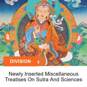 Newly Inserted Miscellaneous Treatises On Sutra And Sciences