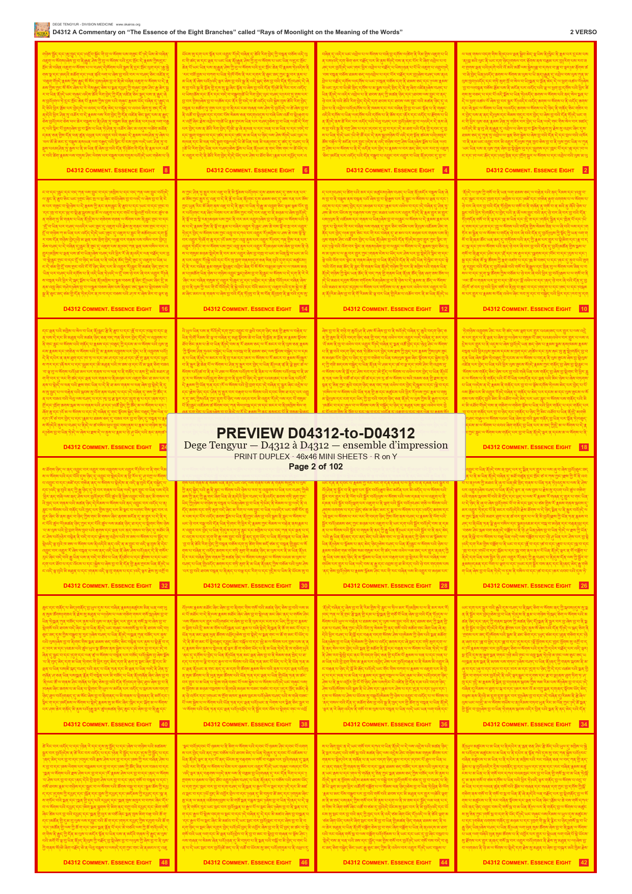 Preview DEGE-TENG-PRINTSET-D04312-to-D04312 — page 2