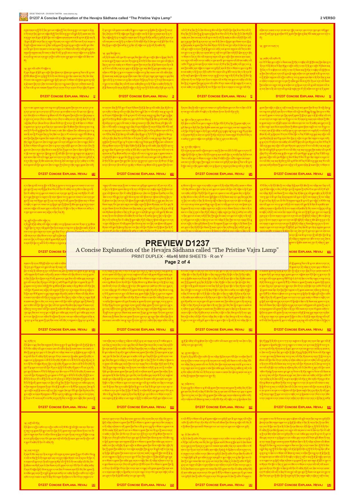 Preview DEGE-TENG-D01237 — page 2