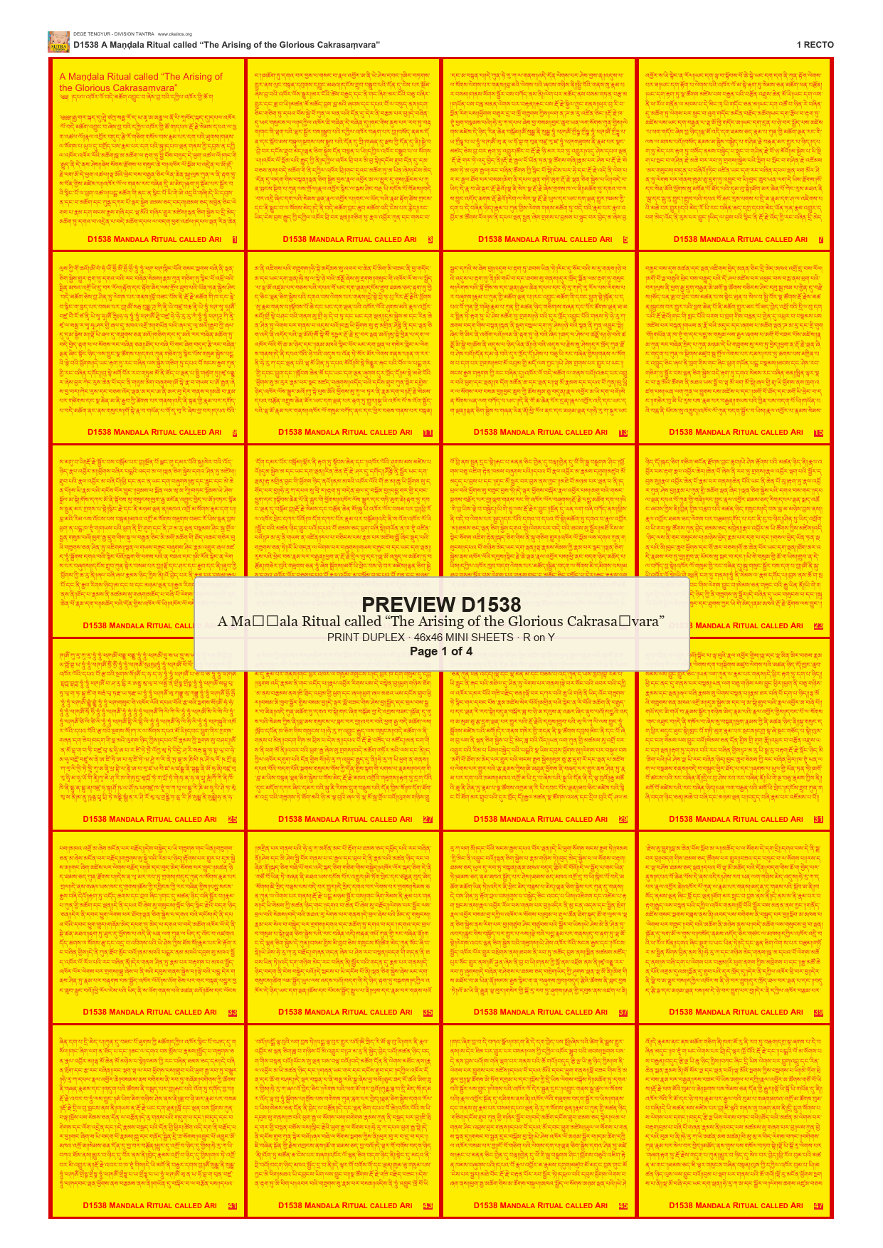 Preview DEGE-TENG-D01538 — page 1